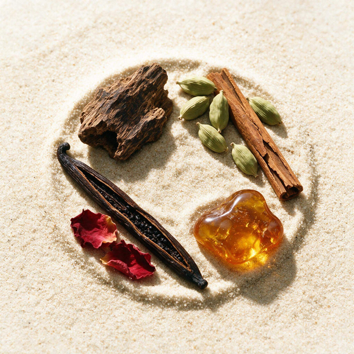 Familles olfactives : musc, oud, ambre, floral & plus